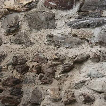 Chasa Pro La Tuor Pitschna Appartement